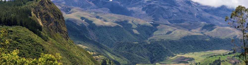 билеты на прямые рейсы в Манту