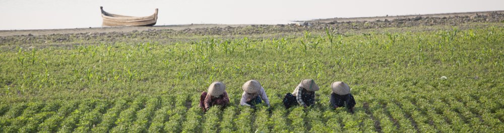 билеты на прямые рейсы в Мйеик