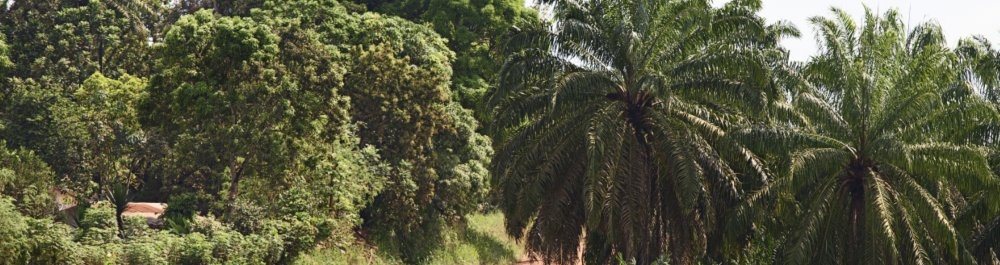 билеты на прямые рейсы в Монровию