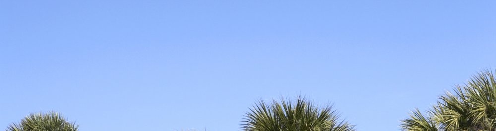 билеты на прямые рейсы в Митиаро