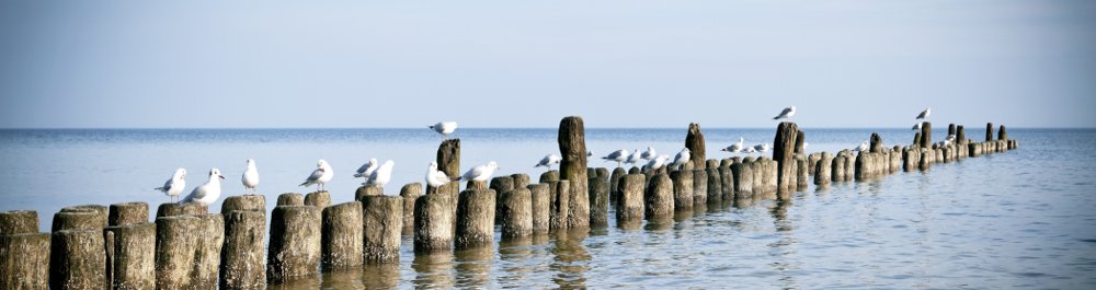 билеты на прямые рейсы в Молде