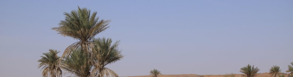 билеты на прямые рейсы в Мисурату