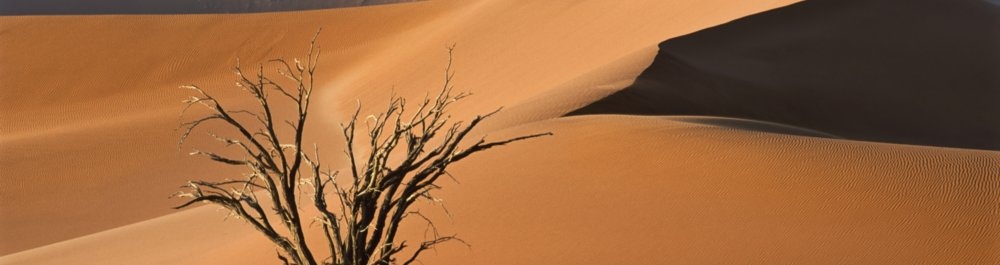 билеты на прямые рейсы в Намибе