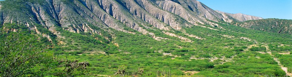 билеты на прямые рейсы в Матурина