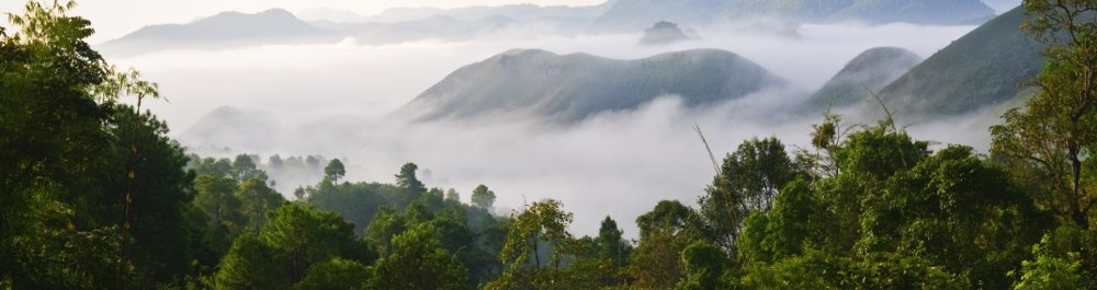 билеты на прямые рейсы в Мьичину