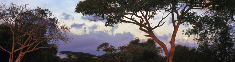 билеты на прямые рейсы в Мтвару