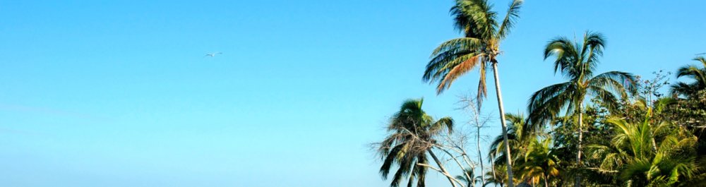 билеты на прямые рейсы в Негрила