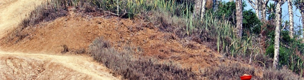 билеты на прямые рейсы в Уамбо