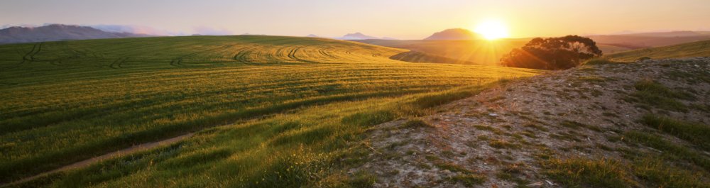 билеты на прямые рейсы в Нейпира