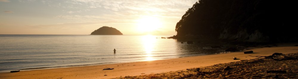 билеты на прямые рейсы в Нельсон