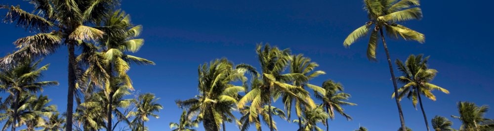 билеты на прямые рейсы в Моели