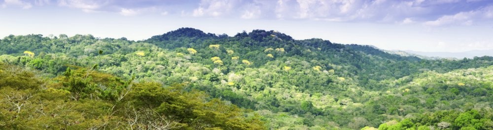 билеты на прямые рейсы в Колона