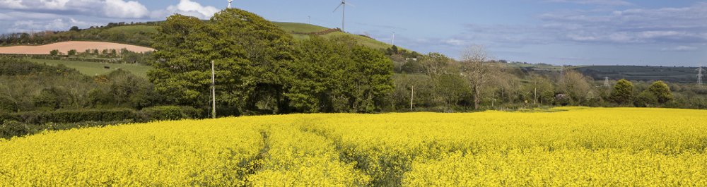 билеты на прямые рейсы в Корк
