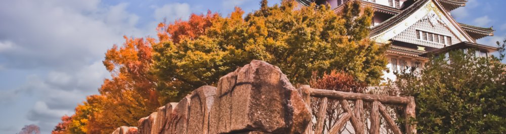 билеты на прямые рейсы в Осаку