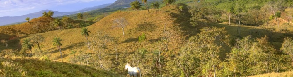 билеты на прямые рейсы в Контадору