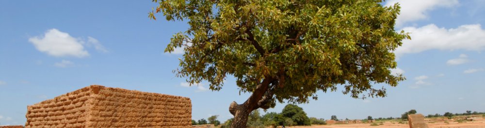 билеты на прямые рейсы в Уагадугу