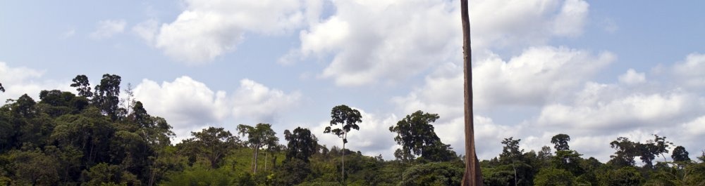 билеты на прямые рейсы в Уам