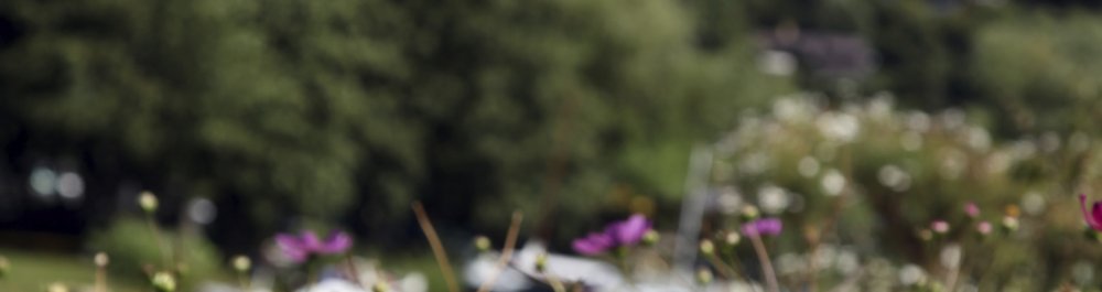 билеты на прямые рейсы в Пиктона