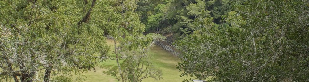 билеты на прямые рейсы в Пуэрто Лемпиру