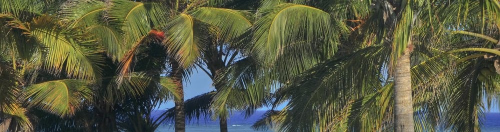 билеты на прямые рейсы в Пембу