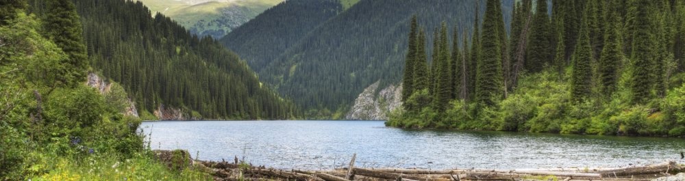 билеты на прямые рейсы в Петропавловск