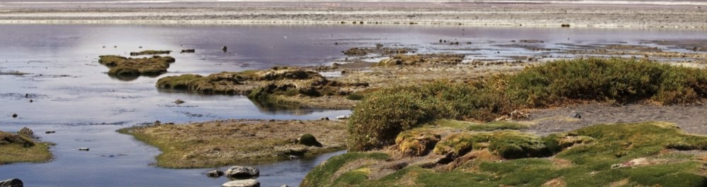 билеты на прямые рейсы в Пуэрто Суареса