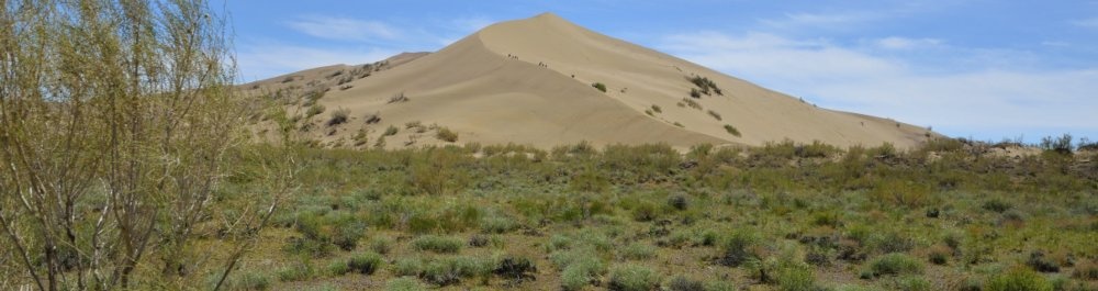 билеты на прямые рейсы в Павлодар