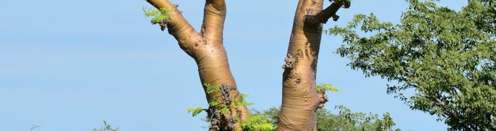 билеты на прямые рейсы в Варри