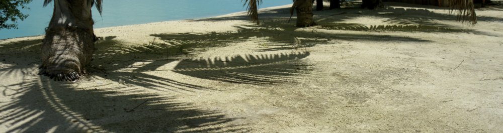 билеты на прямые рейсы в Раротонгу