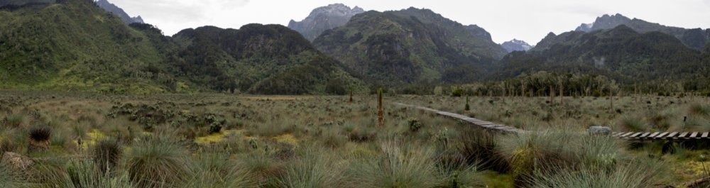 билеты на прямые рейсы в Арубу