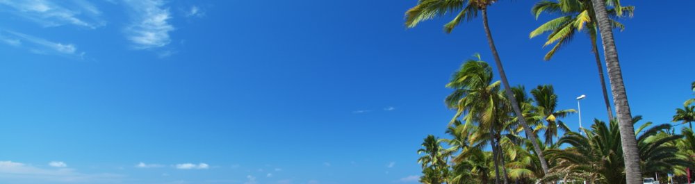 билеты на прямые рейсы в Сена-Дени-Реюньона