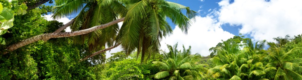 билеты на прямые рейсы в на Маэ