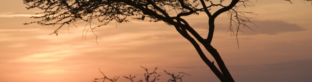 билеты на прямые рейсы в Индаселасси