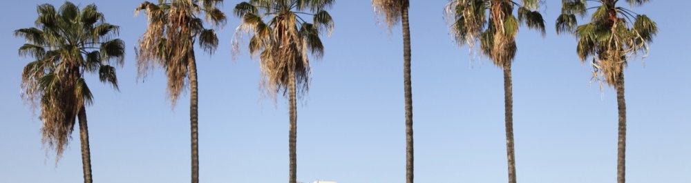 билеты на прямые рейсы в Сан-Хосе