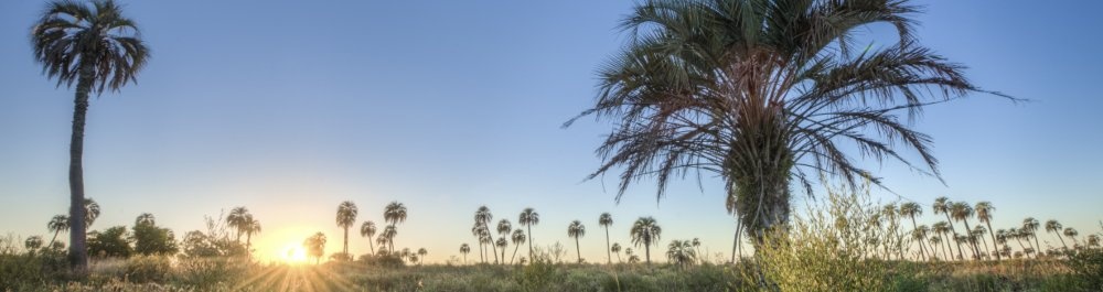 билеты на прямые рейсы в Сальту