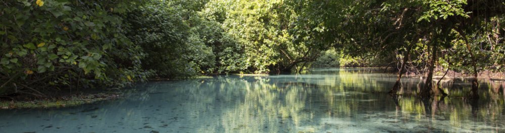 билеты на прямые рейсы в Эспириту-Санто