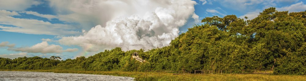 билеты на прямые рейсы в Обьян