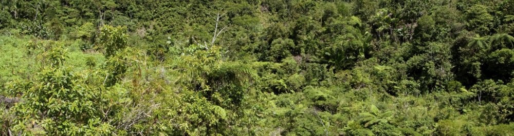 билеты на прямые рейсы в Малабо