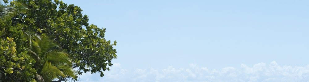 билеты на прямые рейсы в Самбаву