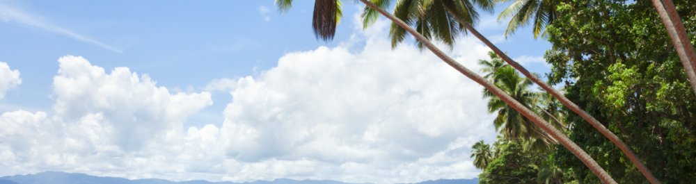 билеты на прямые рейсы в Савусаву