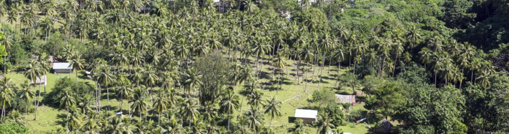 билеты на прямые рейсы в Сауз-Вест-Бей