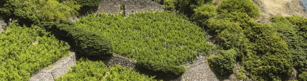 билеты на прямые рейсы в Шираз