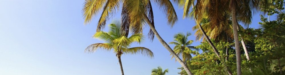 билеты на прямые рейсы в Тобаго