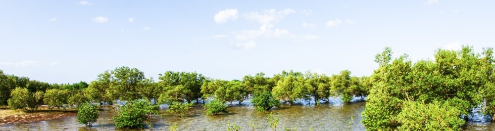 билеты на прямые рейсы в Тете