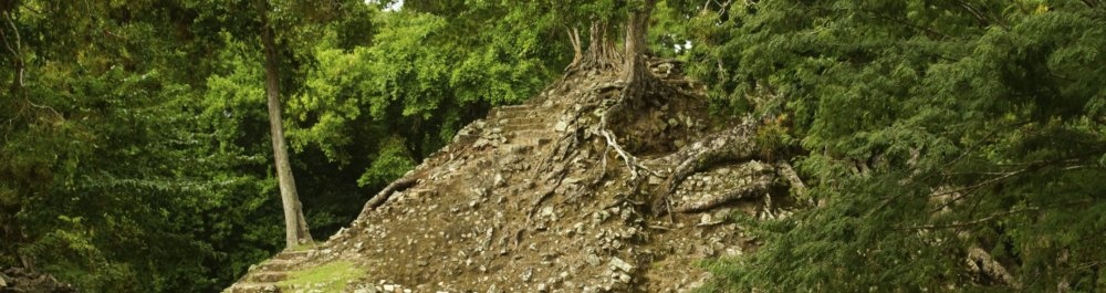 билеты на прямые рейсы в Тегусигальпу