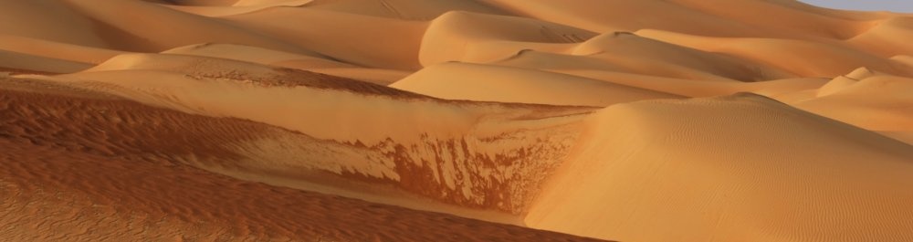 билеты на прямые рейсы в Таифа