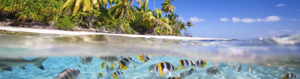 билеты на прямые рейсы в Тикехау