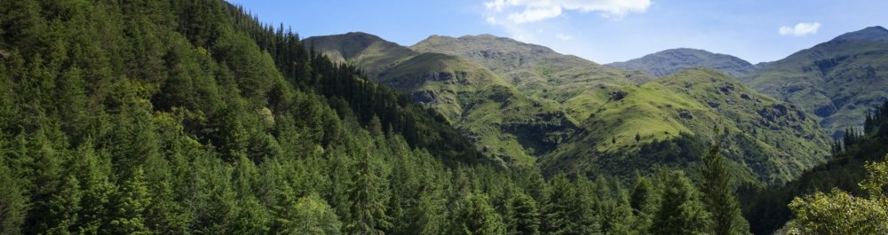 билеты на прямые рейсы в Тариху