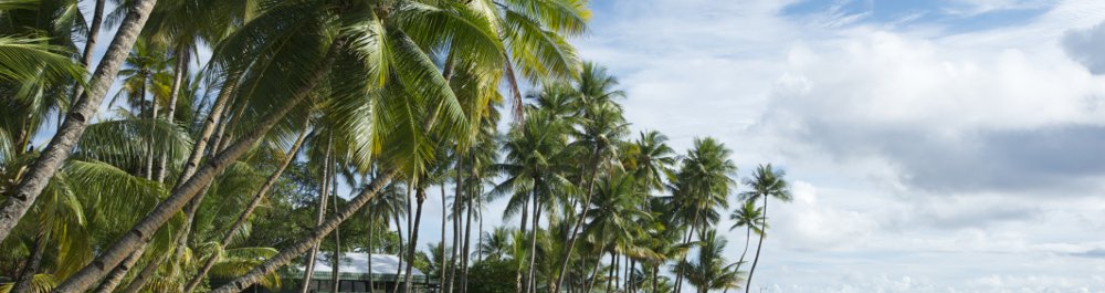 билеты на прямые рейсы в Трука