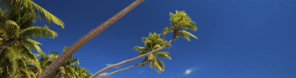 билеты на прямые рейсы в ОстроТавьюни